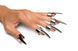Набор колец с когтями Master Series Five-Piece Sensation Claw Rings - Silver