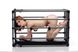 Прочная разборная клетка для наказаний Kennel Adjustable Bondage Cage