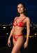 Комплект Passion ANUVERA SET fire brick M