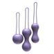 Набор вагинальных шариков Je Joue - Ami Purple, диаметр 3,8-3,3-2,7см, вес 54-71-100гр + подарок косметичка