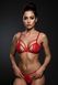 Комплект Passion ANUVERA SET fire brick S