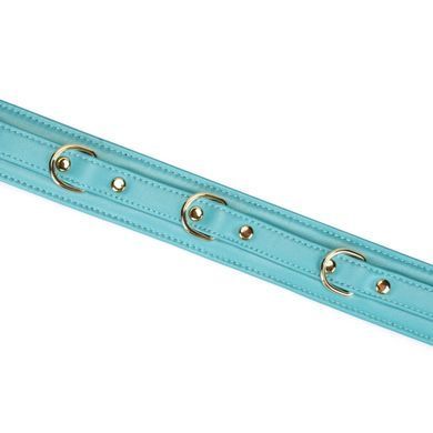 Ошейник с поводком Liebe Seele Blue Lamb Leather Collar with Velvet Lining