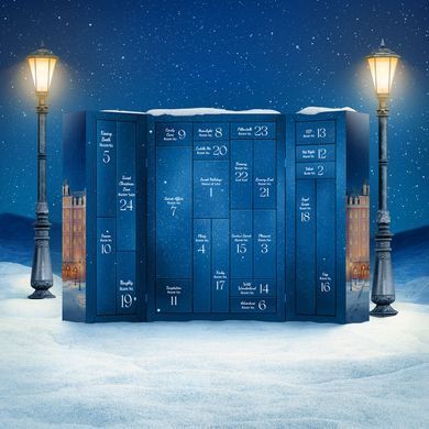 Подарочный набор Satisfyer Premium Advent Calendar 2025