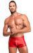 Мужские шорты Noir Handmade H097 Ignite shorts S