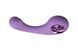 Вибратор для точки G FairyGasm BraveryAward violet