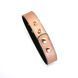 Ошейник с зажимами для сосков Liebe Seele Rose Gold Memory Collar with Nipple Clamps, кожа