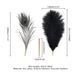Лоскітка LOCKINK SEVANDA Natural Peacock Flirting Feather Tickler, перо павича