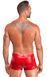 Мужские шорты Noir Handmade H097 Ignite shorts L