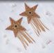 Пэстис-звезды с бахромой JSY Nipple Sticker RT236112 Gold, стикеры