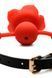 Силиконовый кляп с розой Master Series: Blossom Silicone Rose Gag &ndash; Red