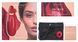 Вакуумный клиторальный стимулятор Womanizer Premium Red