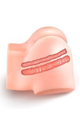 Сосущая вагина-мастурбатор Real Body Real Nina, вагина и анус, с вибрацией и звуком