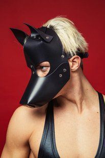 Маска собаки для BDSM: D&A