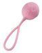 Вагинальные шарики Adrien Lastic Geisha Lastic Balls M&iacute;a Pink (L)