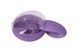 Вібратор для пар FairyGasm PleasureBerry violet, зарядний кейс, пульт ДК