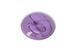 Вібратор для пар FairyGasm PleasureBerry violet, зарядний кейс, пульт ДК