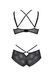 Комплект Passion DROSERA BIKINI black, S/M, бюстгальтер і трусики-кюлоти