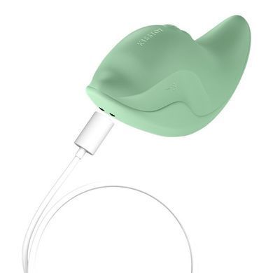 Вибратор и клиторальный стимулятор KISSTOY Heidi Green