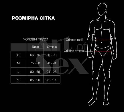 Мужские трусы с сюрпризом Art of Sex - Gladiator, черные с эффектом мокрого бархата, размер L