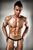 Мужские стринги с блестящим гульфиком Passion 015 THONG silver L/XL