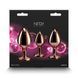 Набор анальных пробок NS Novelties Rear Assets - Trainer Kit - Rose Gold - Pink Gem