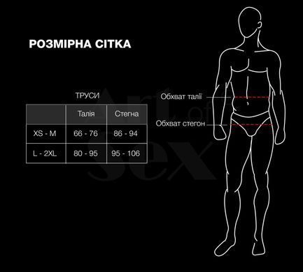 Чоловічі труси з сітки Art of Sex &mdash; Demir, колір чорний, розмір L&ndash;2XL
