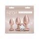 Набор анальных пробок NS Novelties Rear Assets - Trainer Kit - Iridescent Champagne - Clear Gem