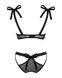 (SALE) Полупрозрачный эротический комплект Obsessive Obsessivia 2pcs set black S/M, бюстгальтер и трусики,